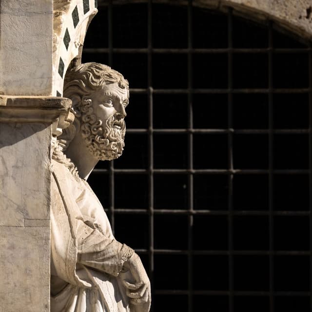 Art & Society in Siena