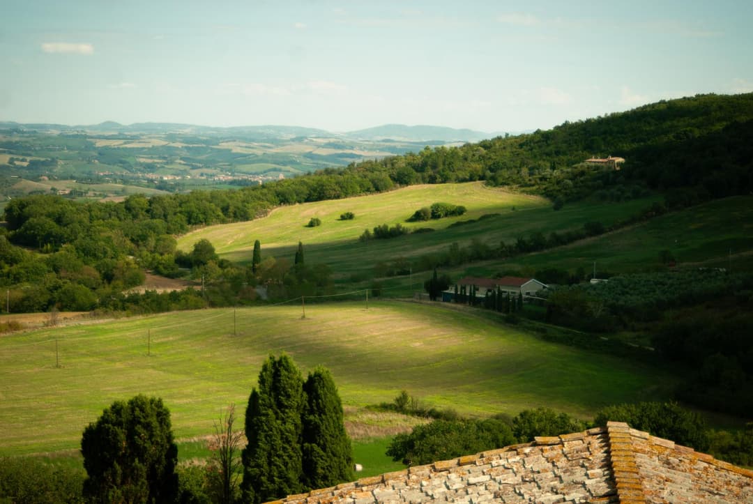 Picture of Siena by Patryk Misiak