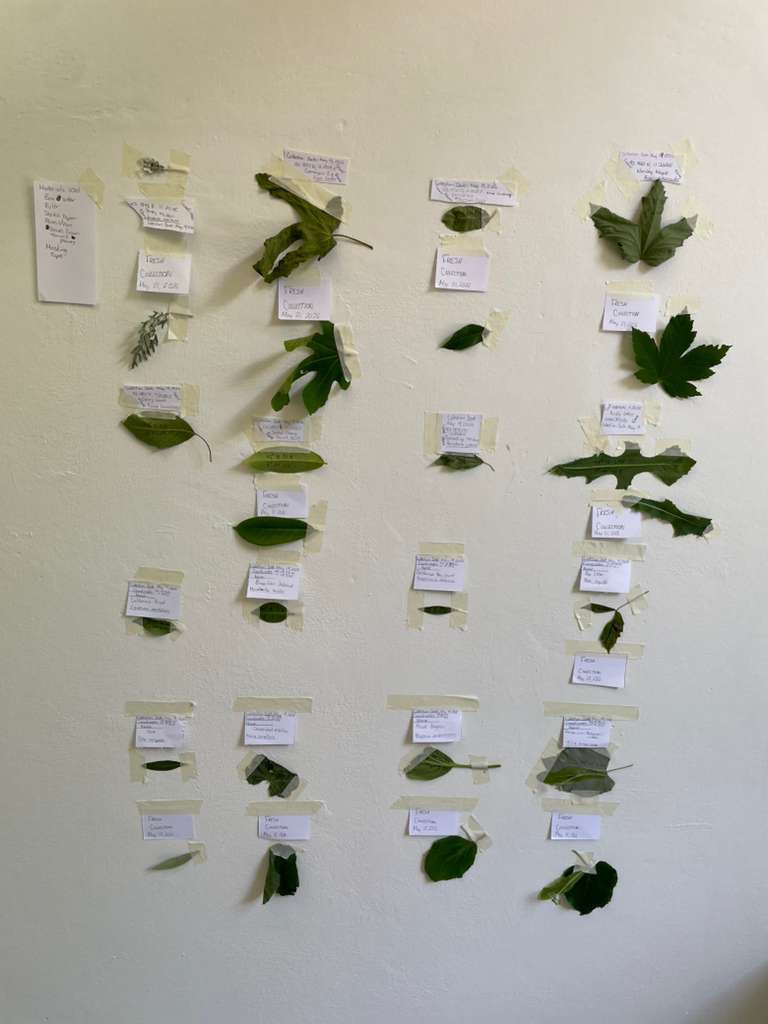 Artistic work by students of Ohio University